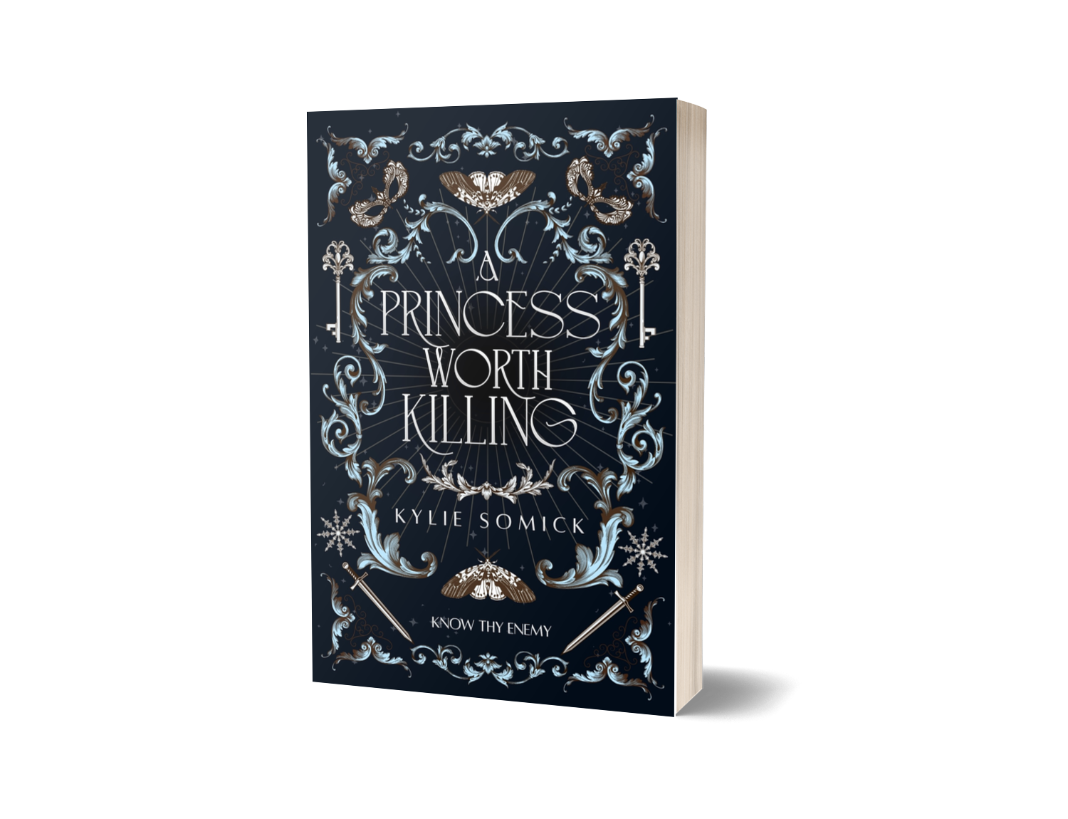 A Princess Worth Killing Paperback (Pre-Order)
